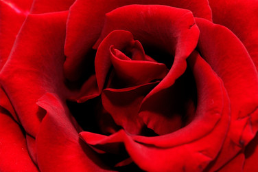 Similar image 2007673