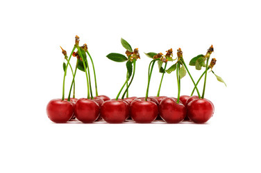 Similar image 2007687