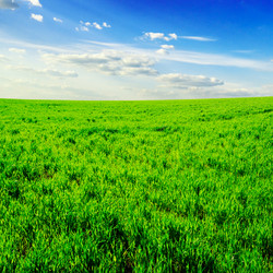 Similar image 2007724