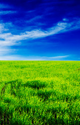 Similar image 2007730