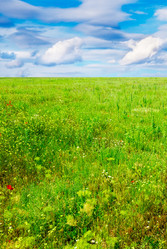 Similar image 2007732