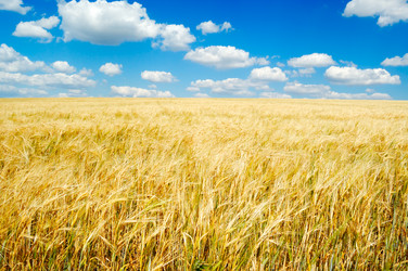 Similar image 2007737