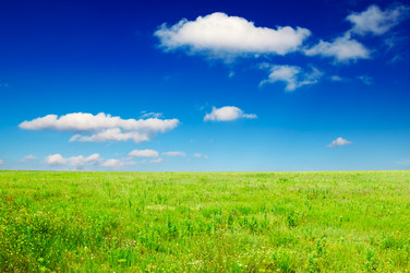 Similar image 2007763