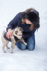 Similar image 2008158