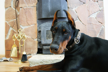 Similar image 2008636