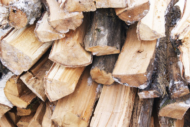 Similar image 2008639