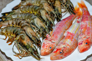 Similar image 2008693