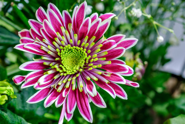 Similar image 2008702