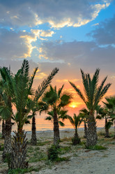 Similar image 2008828