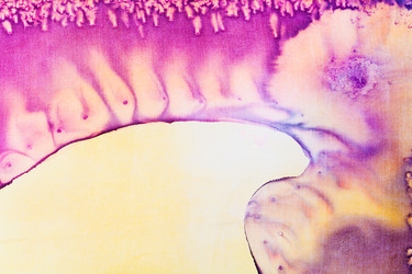 Similar image 2008843