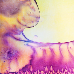 Similar image 2008846