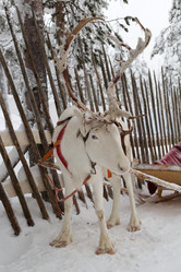 Similar image 2009490