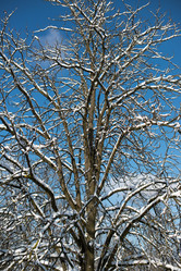 Similar image 2009816