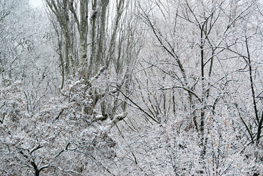 Similar image 2009822