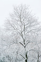 Similar image 2009825