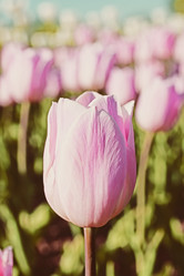 Similar image 2009903