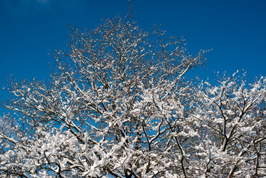 Similar image 2010095