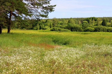 Similar image 2010142