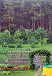 Similar image 2010143