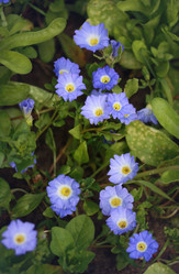 Similar image 2010146