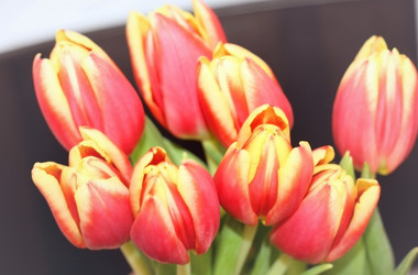 Similar image 2010148