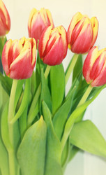 Similar image 2010149