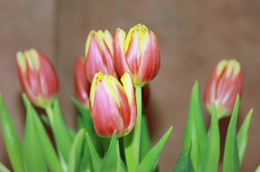 Similar image 2010150