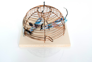 Similar image 2010208