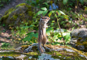 Similar image 2010289