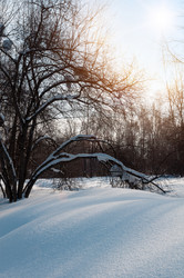 Similar image 2010296