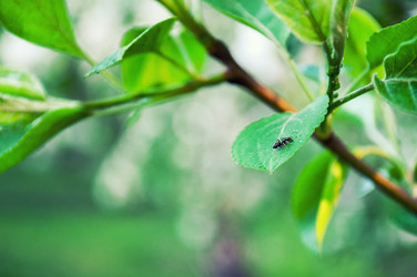 Similar image 2010299