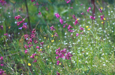 Similar image 2010300