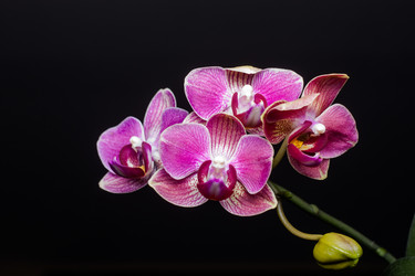 Similar image 2010317