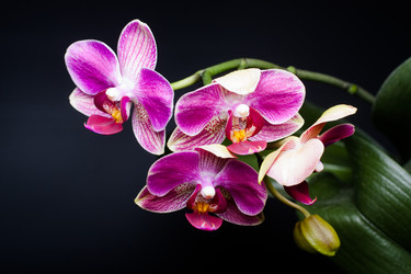 Similar image 2010319