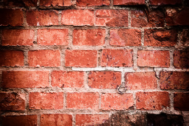 Similar image 2010354