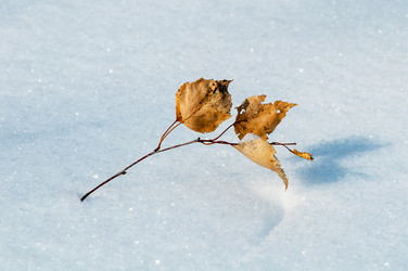 Similar image 2010357