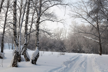 Similar image 2010358