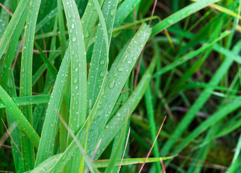 Similar image 2010362