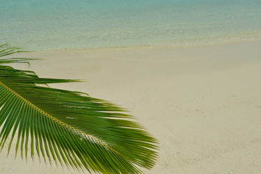 Similar image 2011144