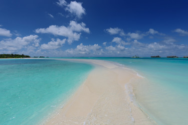 Similar image 2011147