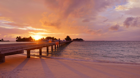 Similar image 2011161