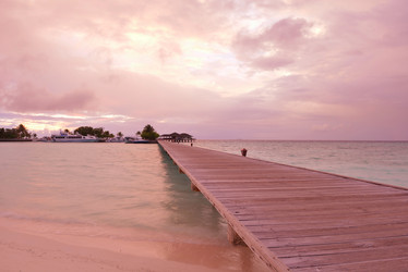 Similar image 2011183