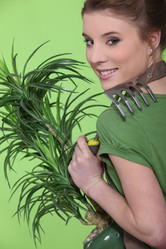 Similar image 2011245