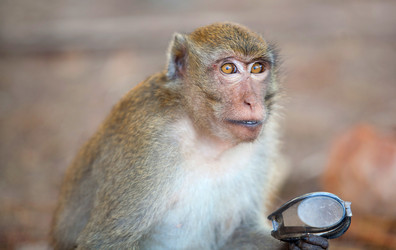 Similar image 2014009