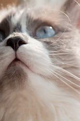 Similar image 2023010