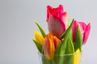 Similar image 2023139