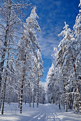 Similar image 2023391