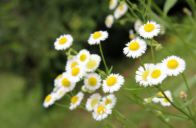 Similar image 2023663