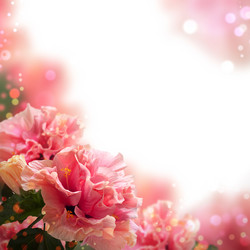 Similar image 2023983