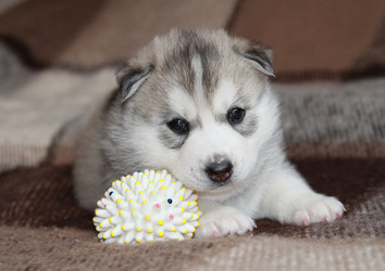 Similar image 2024215